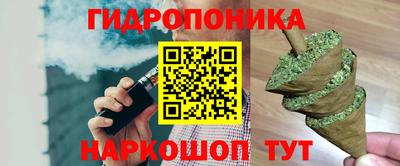 прущие крисы Камышлов