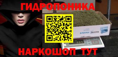 молекула духа Кандалакша