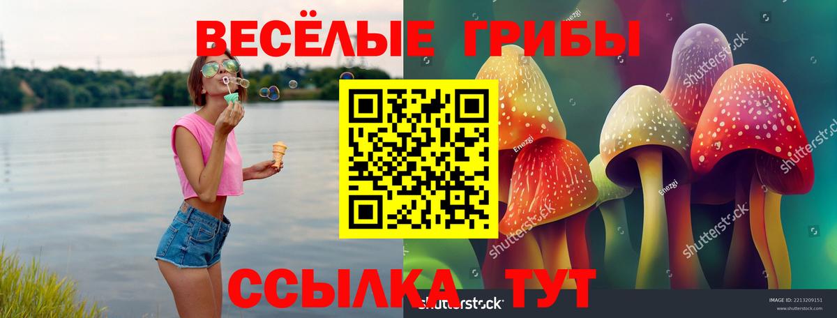 Псилоцибиновые грибы прущие грибы Ялуторовск